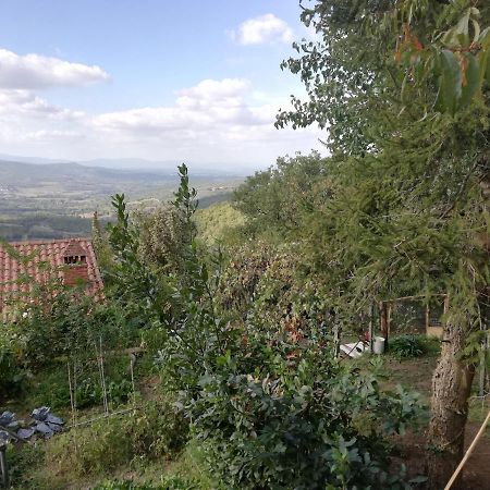 La Casina Di Jessica Otel San Pancrazio  Dış mekan fotoğraf